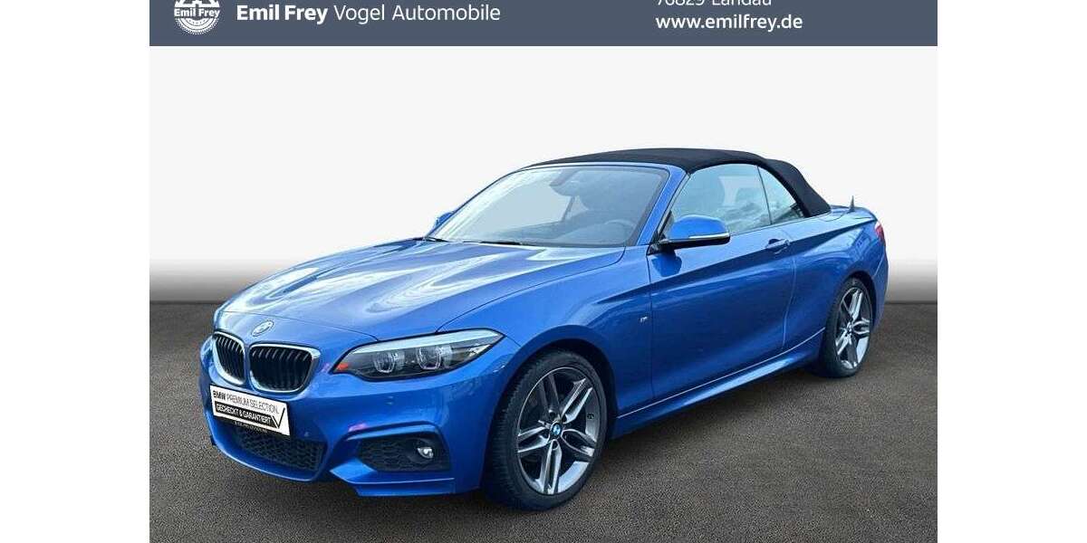 BMW 218 80.876 km 19.870 &euro; Landau 76829