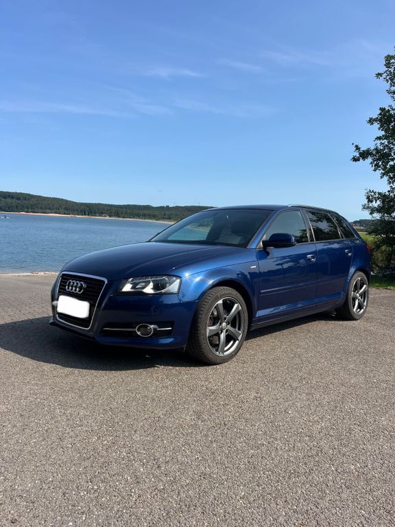 A3