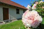 Bungalow zur Miete in Holzhausen!