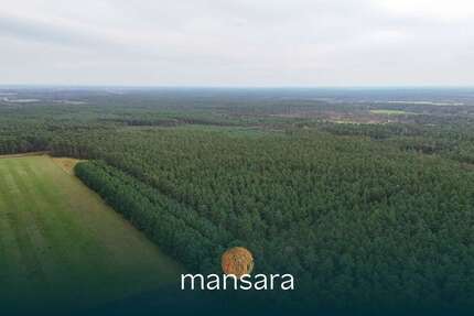 Grundstück Winsen (Aller) - 2.800.000&euro; | Angebot:25430890