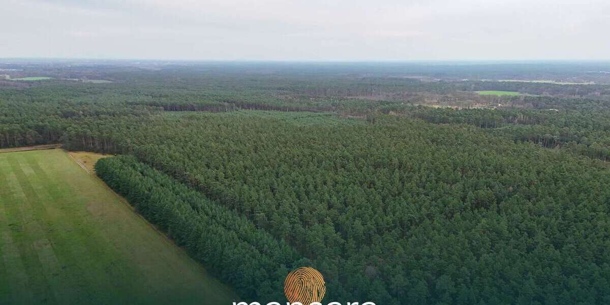 Grundstück Winsen (Aller) - 2.800.000&euro; | Angebot:25430890