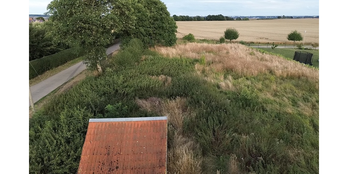 Genießen Sie die Ruhe und Aussicht - Grundstück Breesen / Kalübbe Kalübbe | Angebot:26900723