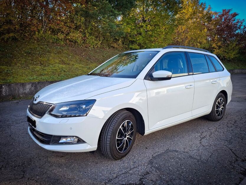 Skoda Fabia 165.800 km 7.300 € Böblingen 71034
