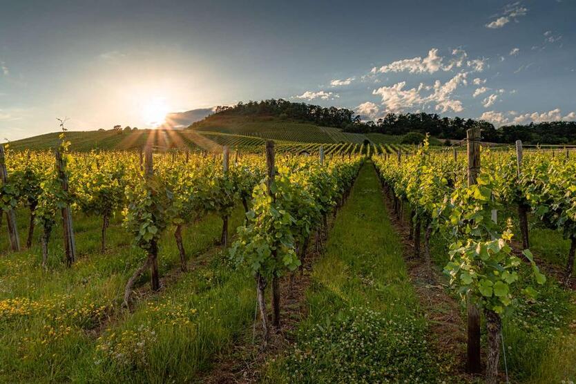 W.O.hnen KOMPAKT - Ihr Traumhaus, ein Raumwunder mit effizienter Flächennutzung in Ensingen zimmer