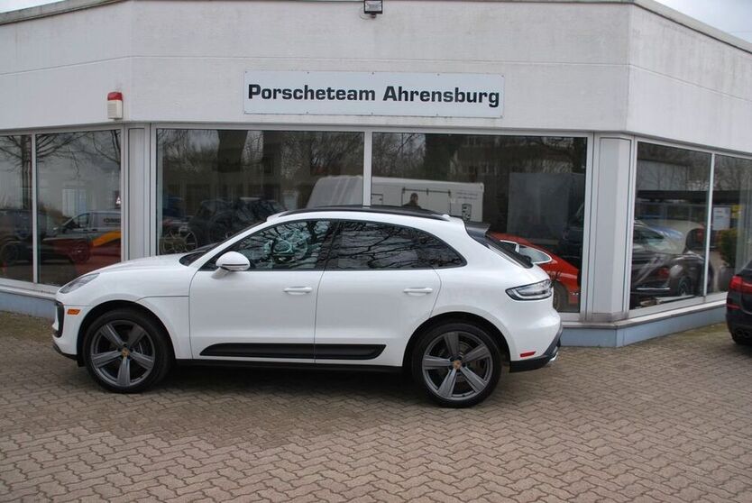 Macan