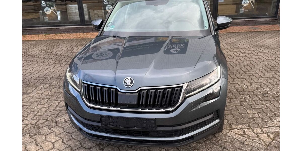Skoda Kodiaq 180.000 km 16.900 &euro; Winsen (Luhe) 21423