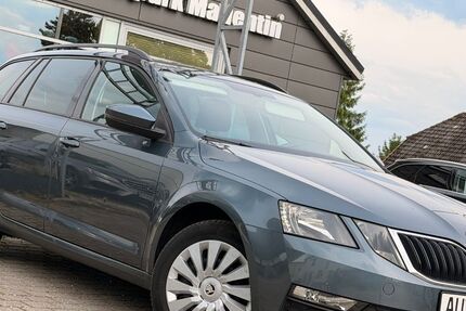 Skoda Octavia 112.000 km 13.788 &euro; Stepenitztal 23936