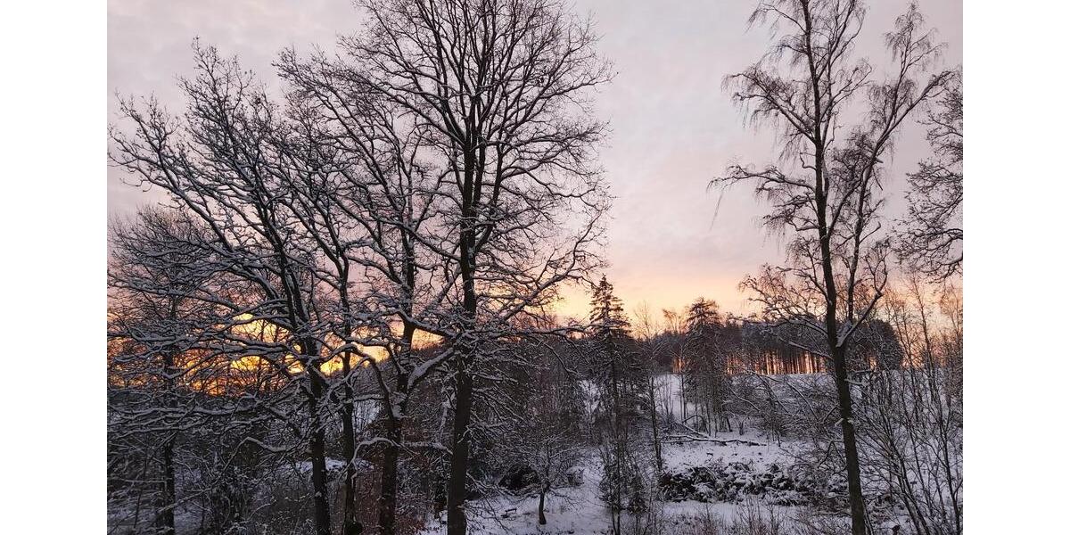 Renovierte+Vermietete Wohnung in Brilon mit Balkon +6%Mietrendite 1.5 zimmer