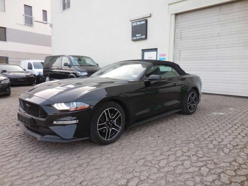 Mustang