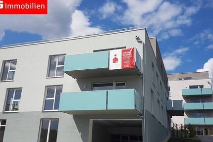 Wohnung Zöllnitz - 2 Zimmer, 81 m&sup2;, 940&euro; | Angebot:26641893