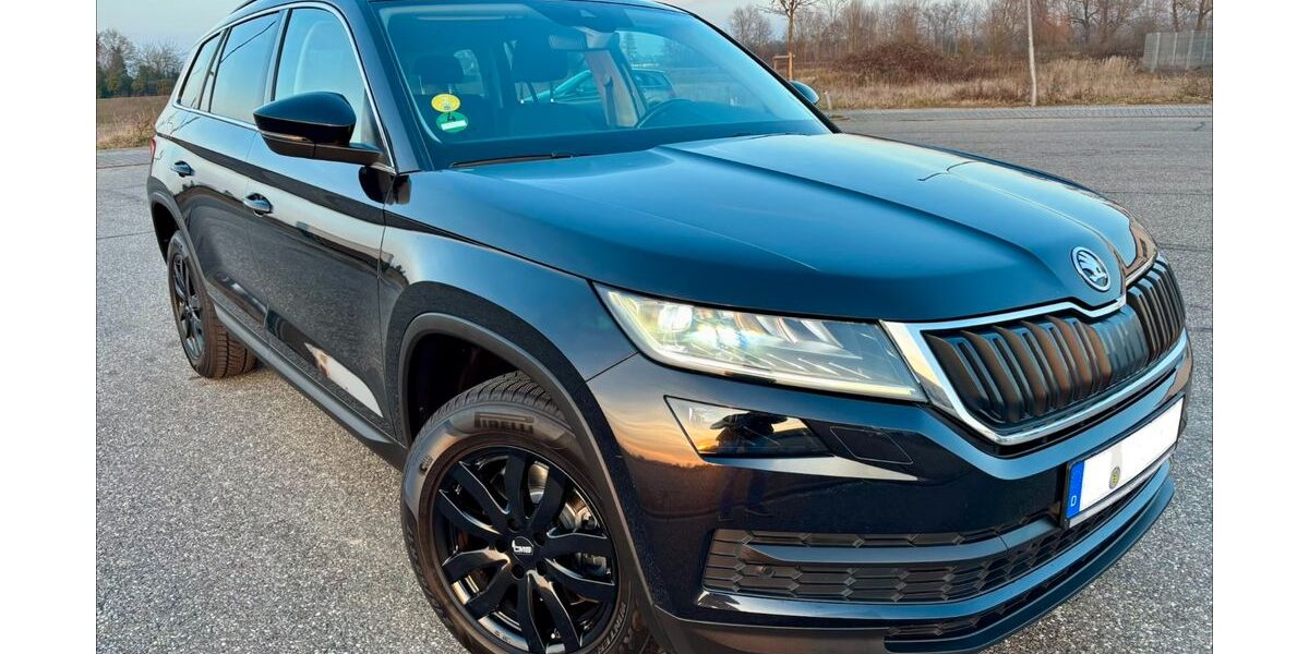 Skoda Kodiaq 216.000 km 16.500 &euro; Ubstadt-Weiher 76698