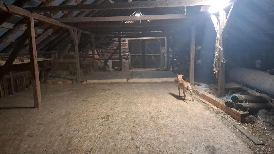 Bauernhaus, Landhaus Elsterberg - 8 Zimmer, 180 m&sup2;, 190.000&euro; | Angebot:26442904