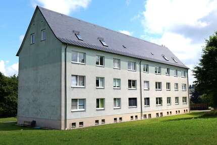 Wohnung zum Mieten in NeustadtVogtland 250 € 45.77 m² 2 zimmer