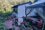 Einfamilienhaus Bad Dürkheim - 5 Zimmer, 150 m&sup2;, 450.000&euro; | Angebot:27071053
