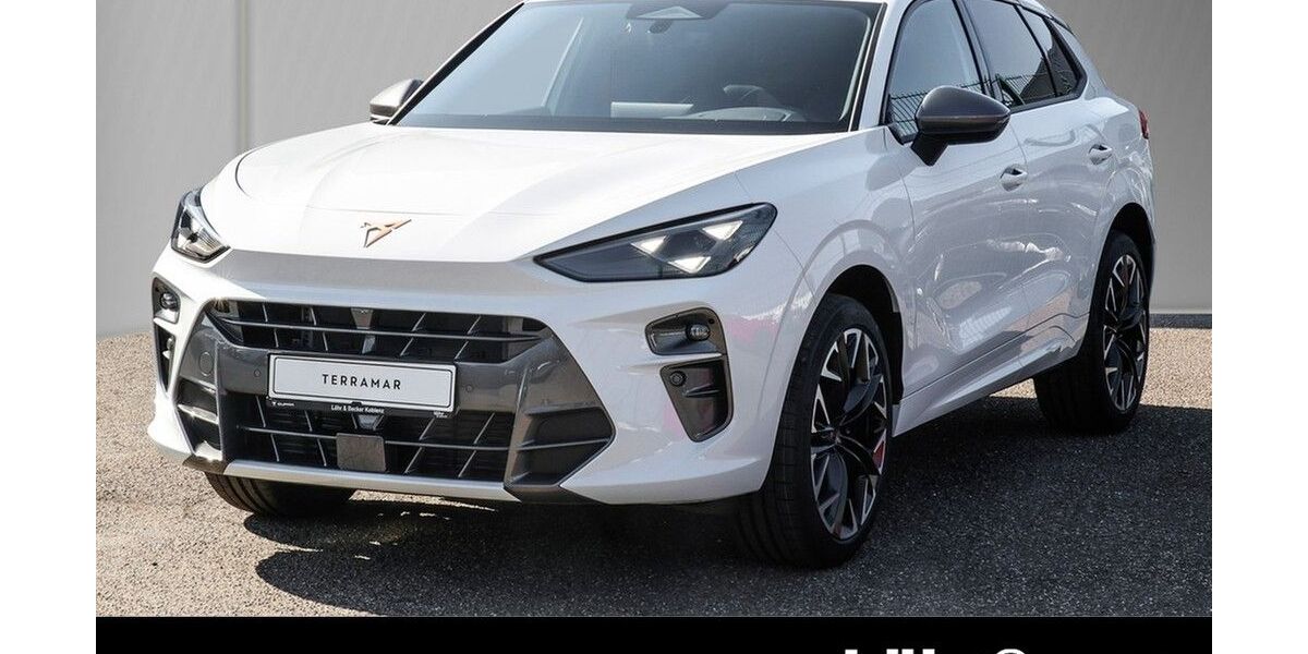 Cupra Terramar 12.800 km 41.980 &euro; Koblenz 56070