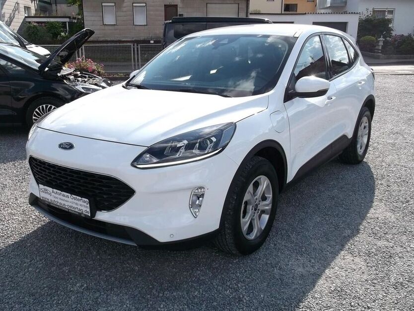 Kuga
