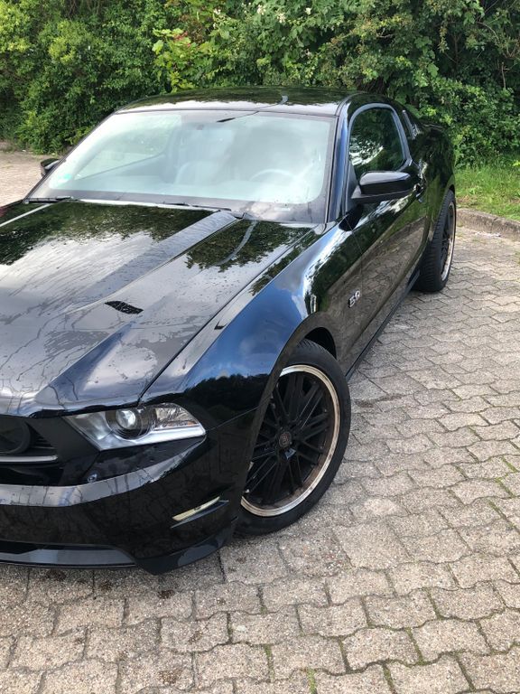Mustang