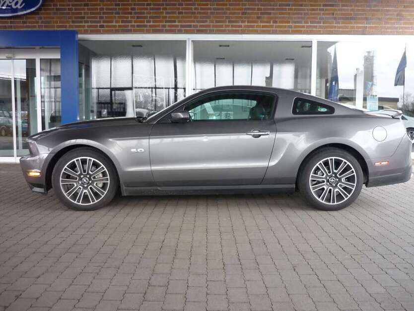Mustang