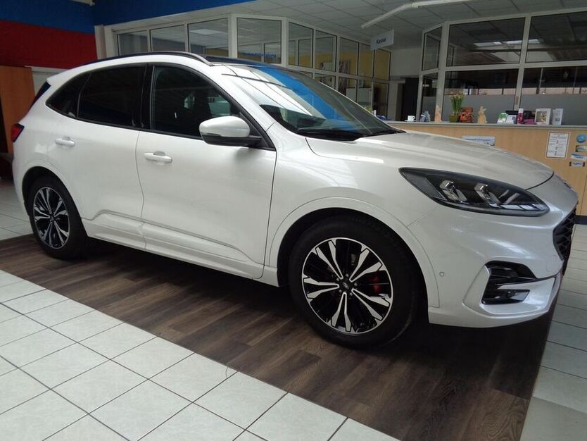 Kuga