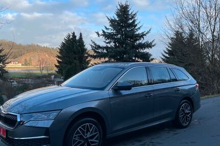 Skoda Octavia 8.500 km 35.490 &euro; Meißen 01662