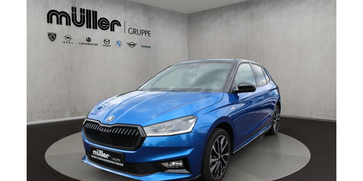 Skoda Fabia 16.000 km 21.490 &euro; Losheim am See 66679