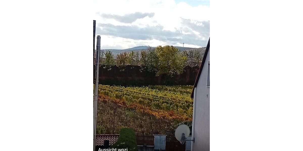 Wohnung zu verkaufen in Grünstadt 3 zimmer