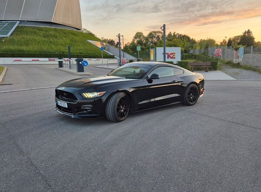 Mustang