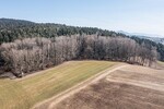 Attraktive Mischwaldgrundstücke mit viel Potenzial - Grundstück Chamerau / Bärndorf Bärndorf | Angebot:26531488