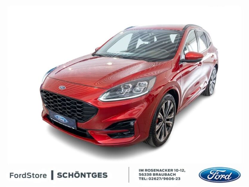 Kuga