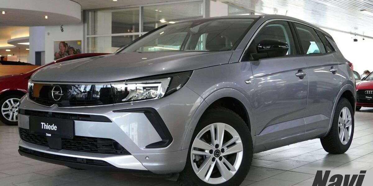 Opel Grandland X 6.650 km 20.850 &euro; Schöningen 38364