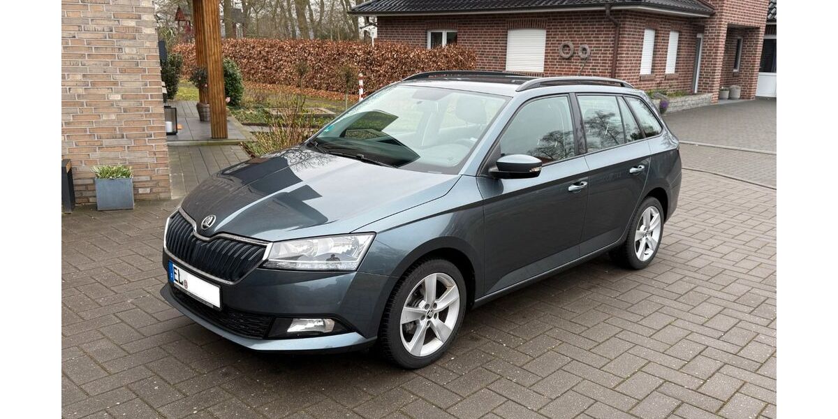 Skoda Fabia 73.717 km 10.500 &euro; Haselünne 49740