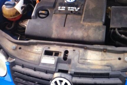 VW Polo