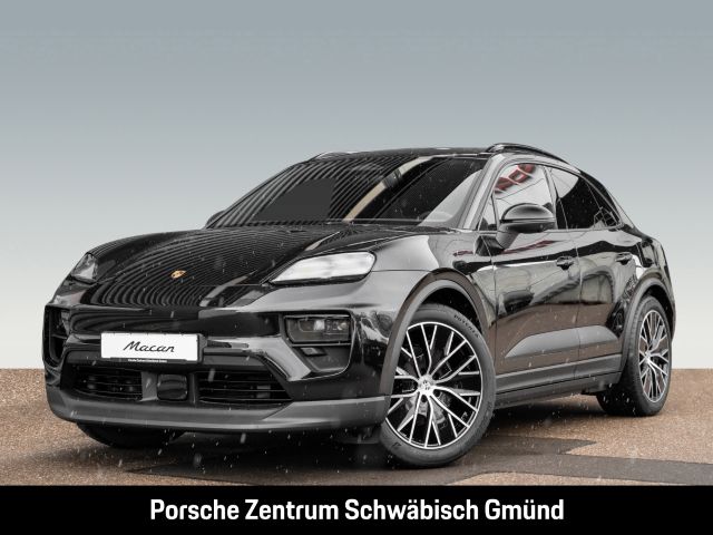 Macan