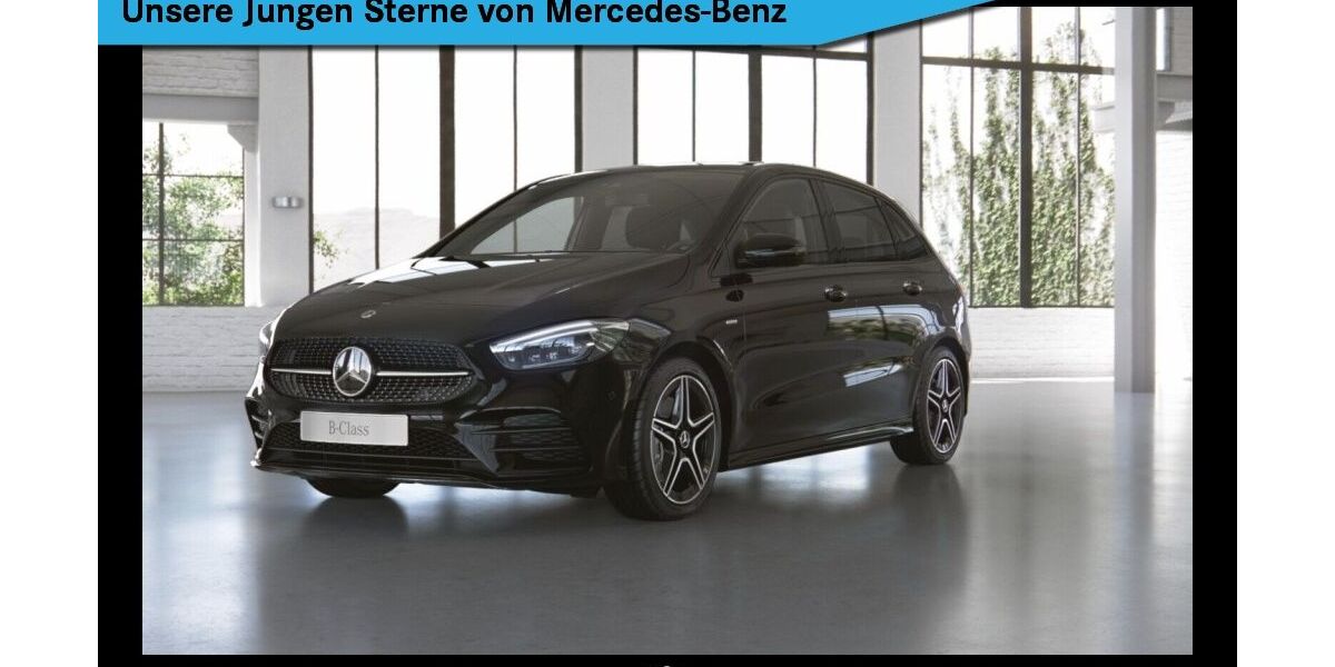 Mercedes-Benz B 250 65.200 km 25.440 &euro; Titisee-Neustadt 79822