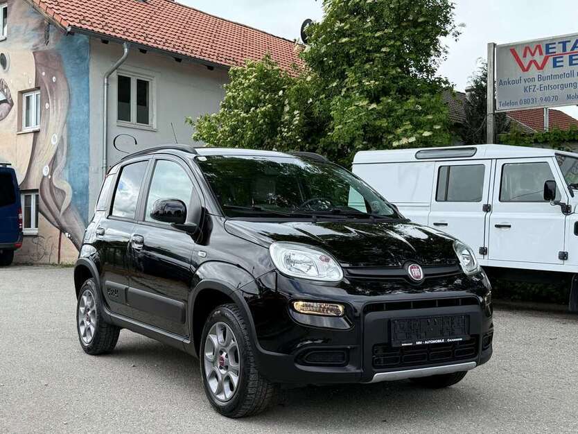 Panda