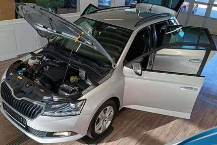 Skoda Fabia 48.092 km 14.955 &euro; Blankenburg / Harz 38889