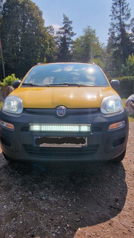 Panda