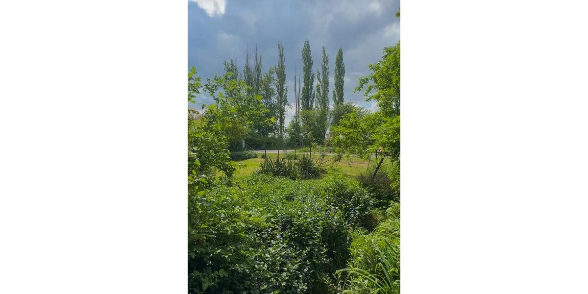 Doppelhaushälfte Letschin - 4 Zimmer, 79 m&sup2;, 100.000&euro; | Angebot:26703627