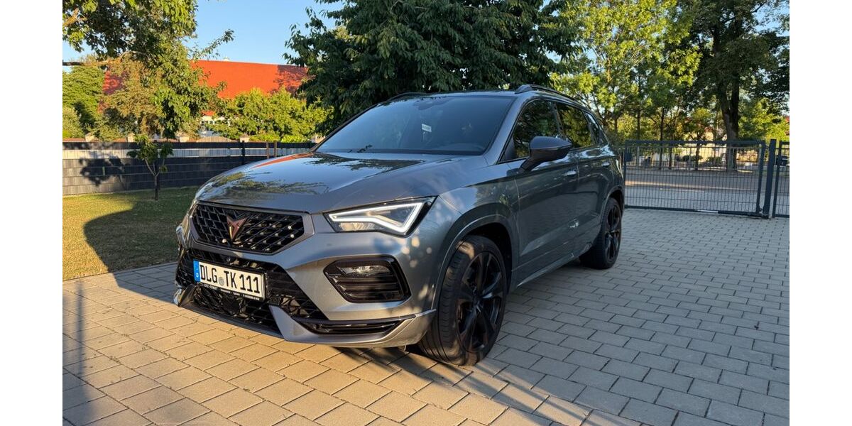 Cupra Ateca 65.008 km 25.000 &euro; Blindheim 89434