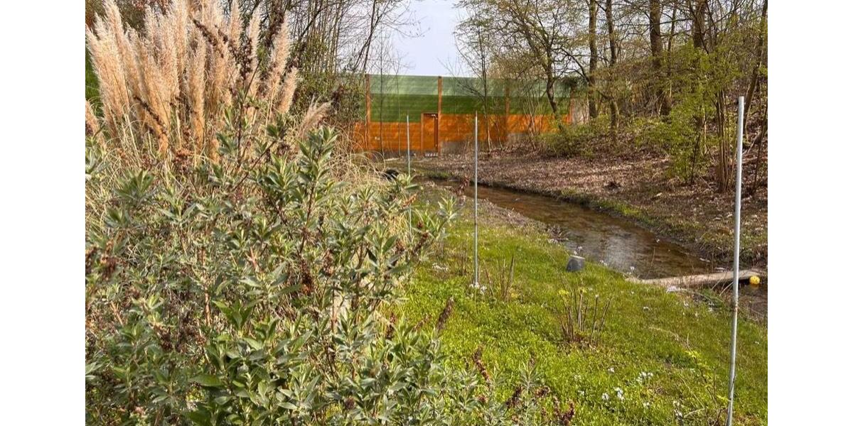 Einfamilienhaus Willstätt - 4 Zimmer, 99 m&sup2;, 429.000&euro; | Angebot:26145066