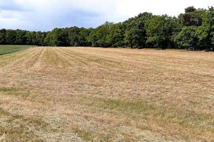 Grundstück zu verkaufen in Lengerich 100.000 € 12447 m² zimmer