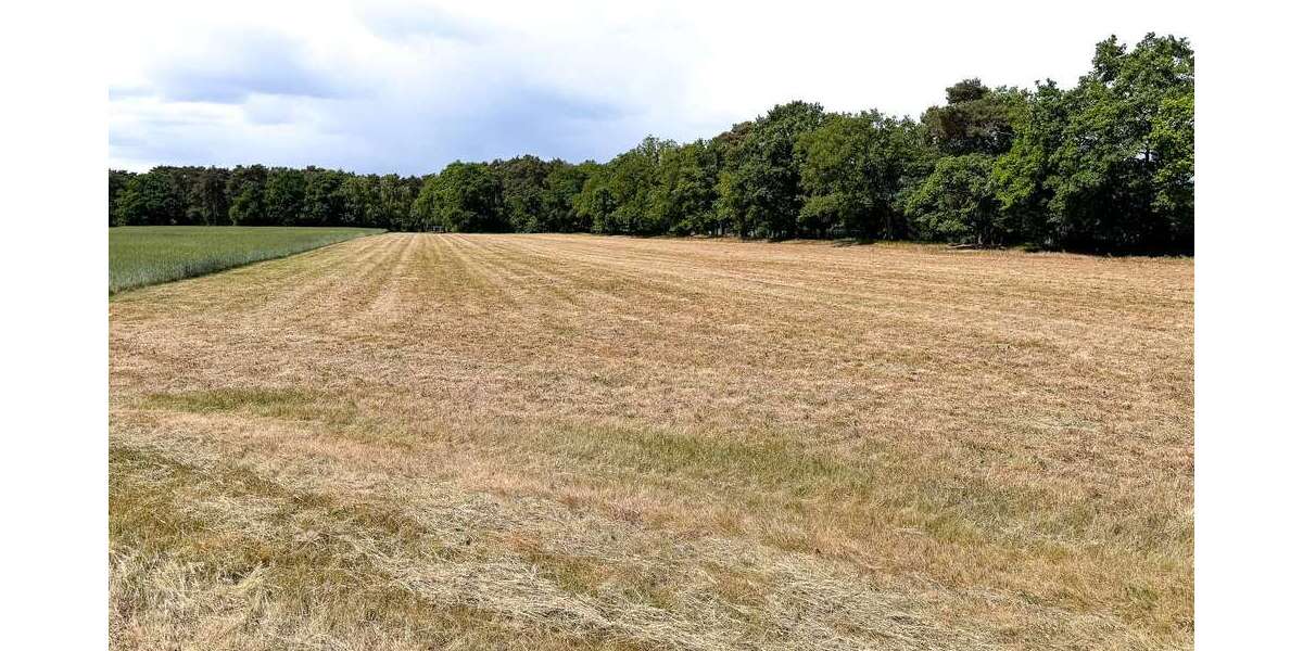 Grundstück zu verkaufen in Lengerich 100.000 € 12447 m² zimmer