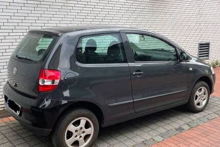VW Fox