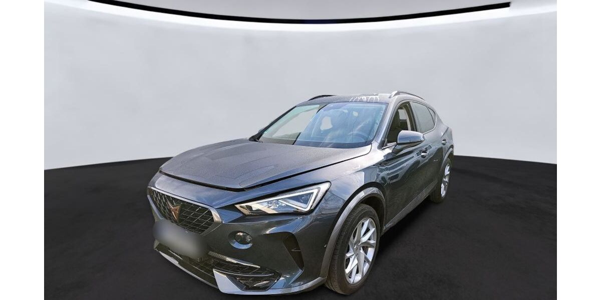 Cupra Formentor 71.340 km 20.890 &euro; Braunschweig 38114