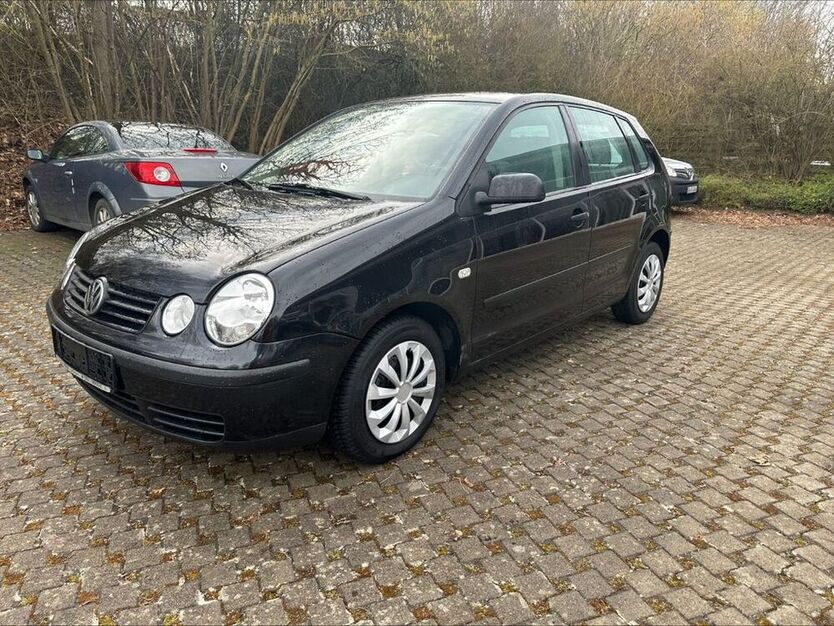 Polo