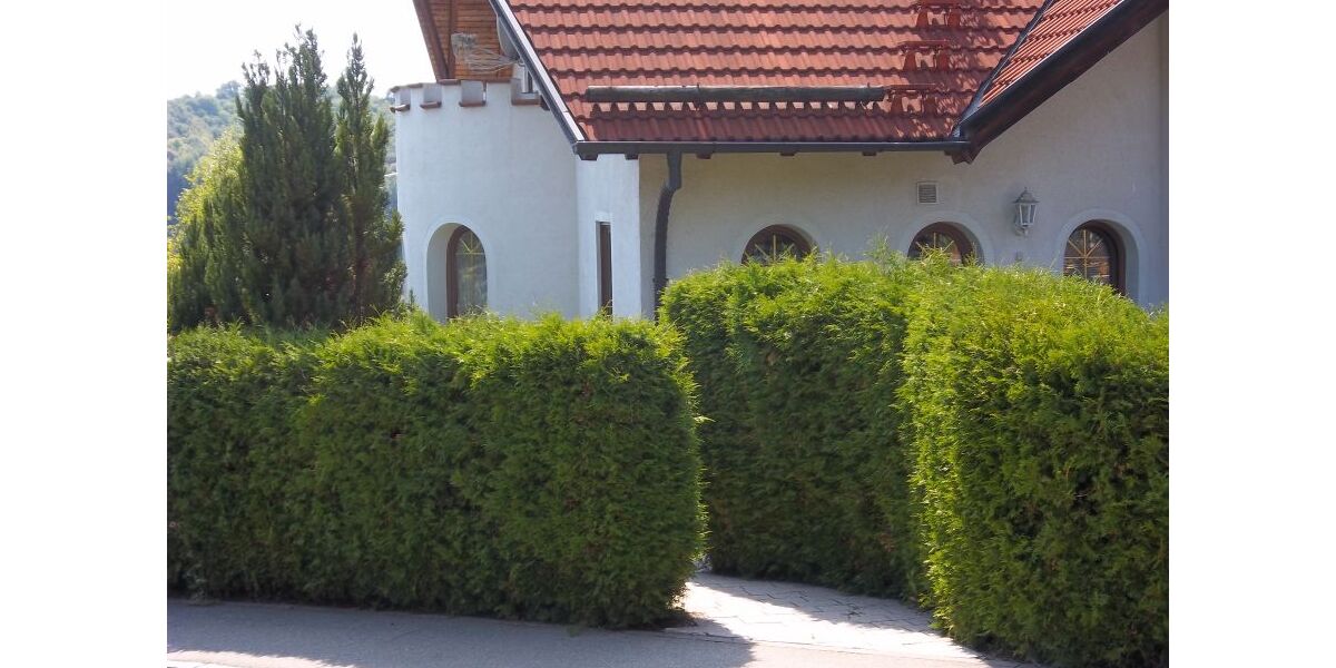 Provisionsfrei* 3 Generationen ZFH: 5 ZiWo + 4 ZiWo, 3 Ebenen, Grund 802 m² in 89173 Lonsee zu verkaufen. - Zweifamilienhaus Lonsee | Angebot:26781319