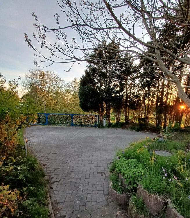 Campingstellplatz außerhalb von Rieseby zu vermieten zimmer