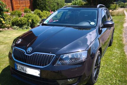 Skoda Octavia 173.500 km 14.560 &euro; Dassel 37586