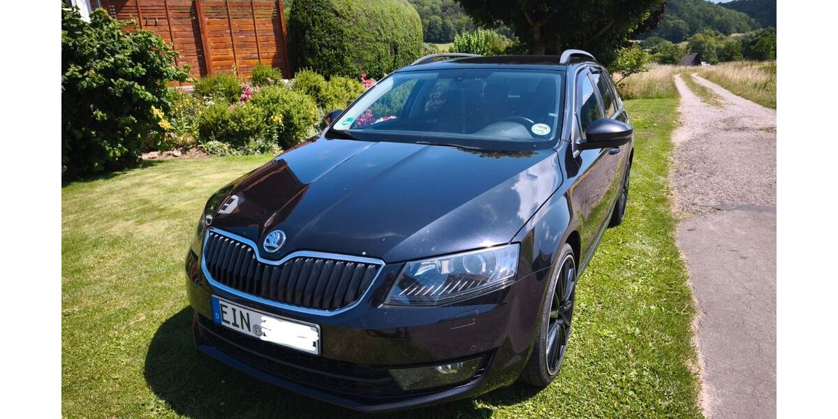 Skoda Octavia 173.500 km 14.560 &euro; Dassel 37586