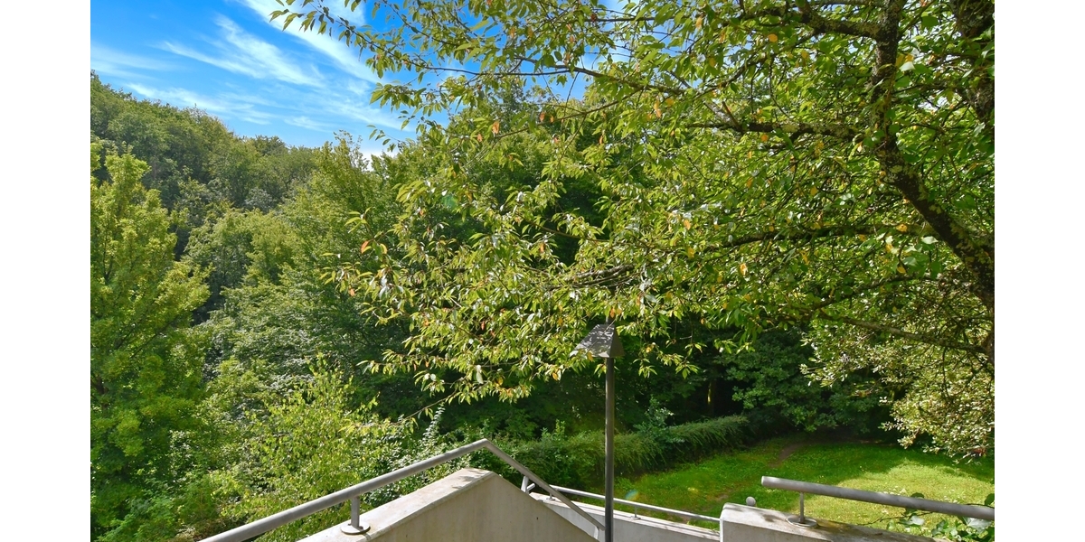 Direkt an der Natur - 3 Zi + Office, große Terrasse, 2 Plätze TG + 5 min zur S-Bahn - Terrassenwohnung Eppstein | Angebot:25570514